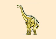 Patagosaurus