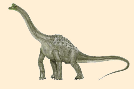Pelorosaurus