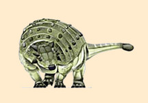 Pinacosaurus