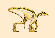 Pisanosaurus