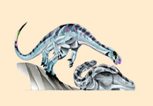 Plateosaurus