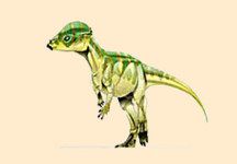 Prenocephale