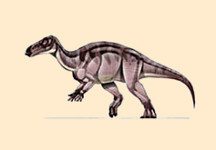 Probactrosaurus