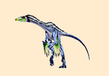 Protarchaeopteryx