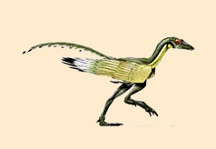 Protoavis