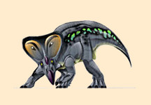 Protoceratops