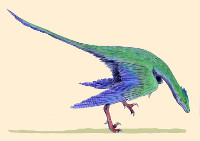 Kulindadromeus