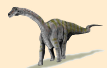 Rapetosaurus