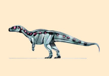 Rhabdodon