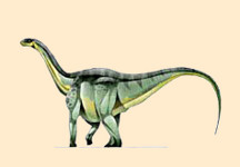 Ferganasaurus