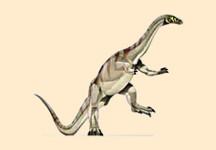Riojasaurus