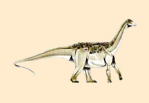 Bonatitan