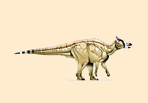 Saurolophus