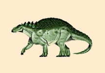 Acantholipan