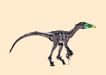Saurornithoides