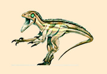 Saurornitholestes