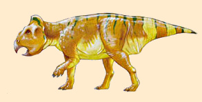 Serendipaceratops