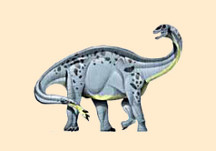 Shunosaurus