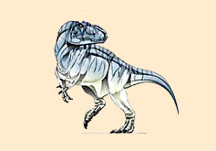 Siamotyrannus