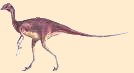 Stenonychosaurus