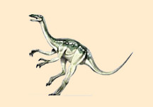 Struthiomimus