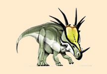 Styracosaurus