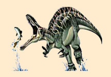 Suchomimus