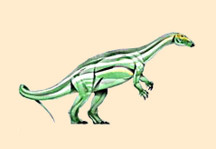 Thescelosaurus