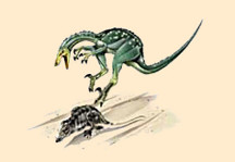 Troodon