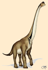 Ultrasaurus