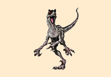 Velociraptor