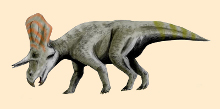 Zuniceratops